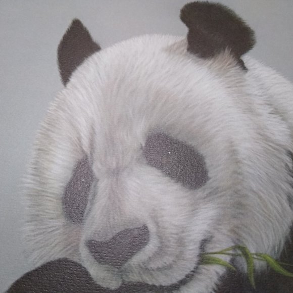 Panda II AP 10/100 by Harold Rigsby Signed - Picture 3 of 9